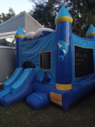 unnamed205 1764873033 1 Whale Watcher Bounce House Combo Slide